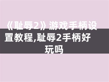 《恥辱2》游戲手柄設(shè)置教程,恥辱2手柄好玩嗎