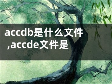 accdb是什么文件 ,accde文件是