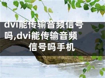 dvi能傳輸音頻信號(hào)嗎,dvi能傳輸音頻信號(hào)嗎手機(jī)