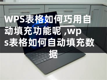 WPS表格如何巧用自動(dòng)填充功能呢 ,wps表格如何自動(dòng)填充數(shù)據(jù)