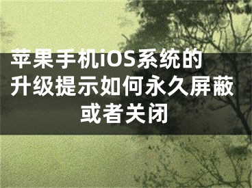 蘋(píng)果手機(jī)iOS系統(tǒng)的升級(jí)提示如何永久屏蔽或者關(guān)閉