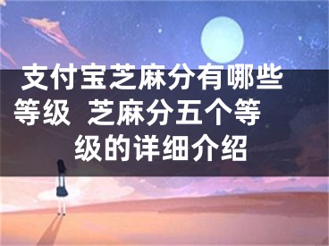  支付寶芝麻分有哪些等級  芝麻分五個等級的詳細(xì)介紹