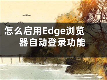 怎么啟用Edge瀏覽器自動(dòng)登錄功能