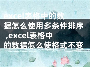 excel表格中的數(shù)據(jù)怎么使用多條件排序 ,excel表格中的數(shù)據(jù)怎么使格式不變