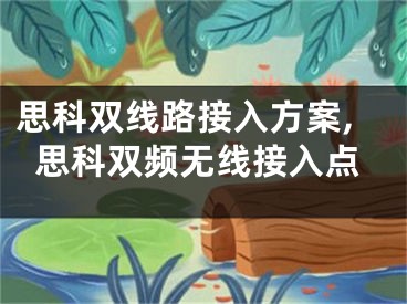 思科雙線路接入方案,思科雙頻無線接入點(diǎn)