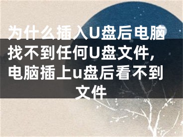 為什么插入U盤后電腦找不到任何U盤文件,電腦插上u盤后看不到文件