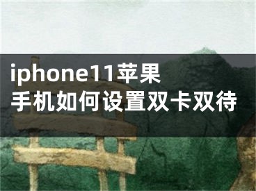 iphone11蘋果手機(jī)如何設(shè)置雙卡雙待