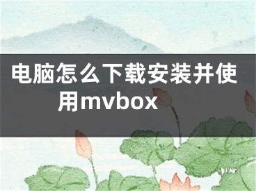 電腦怎么下載安裝并使用mvbox