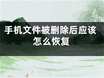 手機文件被刪除后應該怎么恢復