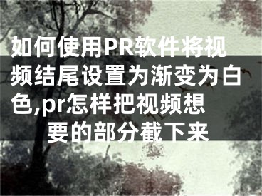 如何使用PR軟件將視頻結(jié)尾設(shè)置為漸變?yōu)榘咨?pr怎樣把視頻想要的部分截下來(lái)