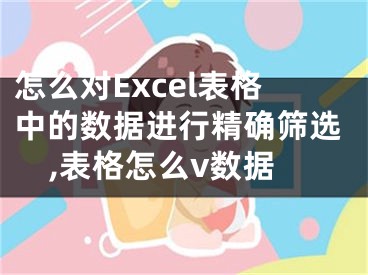 怎么對Excel表格中的數(shù)據(jù)進(jìn)行精確篩選,表格怎么v數(shù)據(jù)