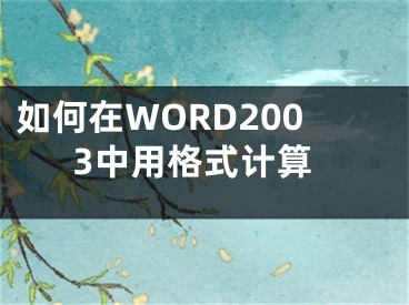 如何在WORD2003中用格式計算