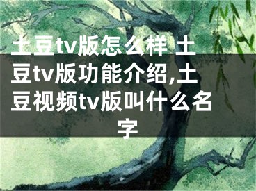 土豆tv版怎么樣 土豆tv版功能介紹,土豆視頻tv版叫什么名字