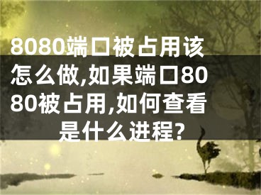 8080端口被占用該怎么做,如果端口8080被占用,如何查看是什么進程?