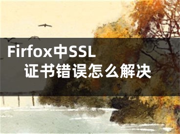 Firfox中SSL證書(shū)錯(cuò)誤怎么解決