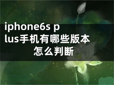 iphone6s plus手機(jī)有哪些版本 怎么判斷