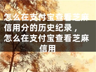 怎么在支付寶查看芝麻信用分的歷史紀(jì)錄 ,怎么在支付寶查看芝麻信用