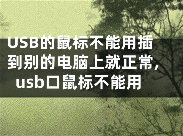 USB的鼠標(biāo)不能用插到別的電腦上就正常,usb口鼠標(biāo)不能用