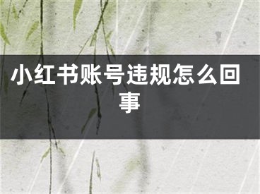 小紅書賬號違規(guī)怎么回事