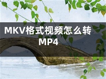 MKV格式視頻怎么轉(zhuǎn)MP4