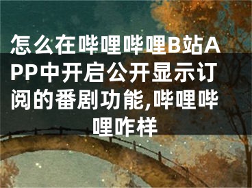 怎么在嗶哩嗶哩B站APP中開啟公開顯示訂閱的番劇功能,嗶哩嗶哩咋樣