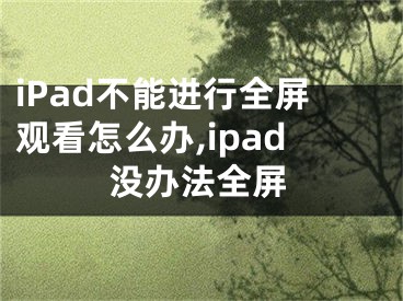 iPad不能進(jìn)行全屏觀看怎么辦,ipad沒辦法全屏