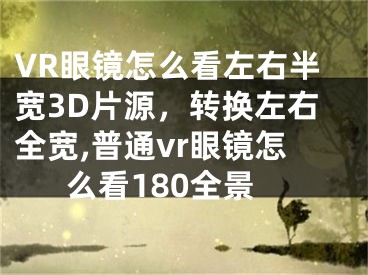 VR眼鏡怎么看左右半寬3D片源，轉(zhuǎn)換左右全寬,普通vr眼鏡怎么看180全景