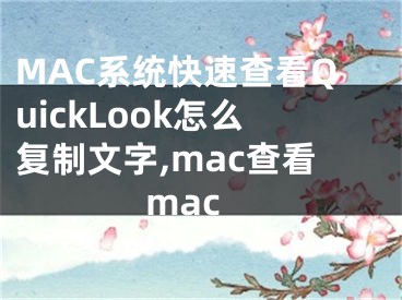 MAC系統(tǒng)快速查看QuickLook怎么復(fù)制文字,mac查看mac