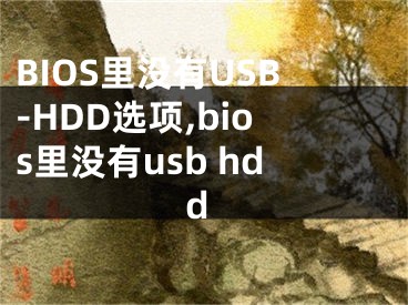 BIOS里沒有USB-HDD選項,bios里沒有usb hdd