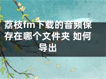 荔枝fm下載的音頻保存在哪個(gè)文件夾 如何導(dǎo)出 