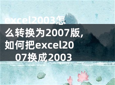 excel2003怎么轉(zhuǎn)換為2007版,如何把excel2007換成2003