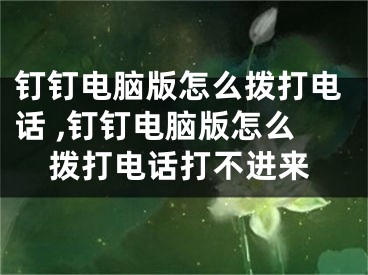 釘釘電腦版怎么撥打電話 ,釘釘電腦版怎么撥打電話打不進(jìn)來