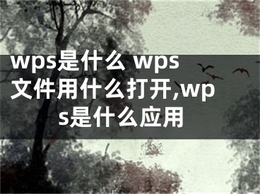 wps是什么 wps文件用什么打開,wps是什么應(yīng)用