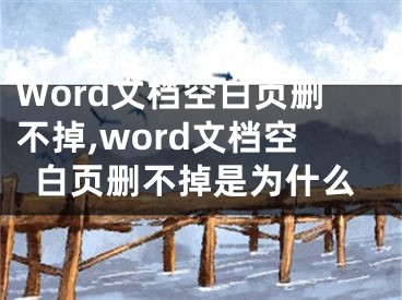 Word文檔空白頁刪不掉,word文檔空白頁刪不掉是為什么