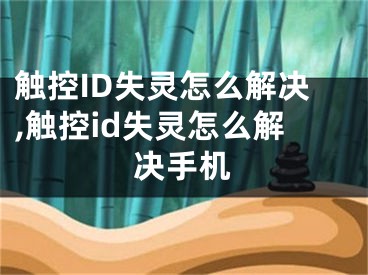 觸控ID失靈怎么解決,觸控id失靈怎么解決手機