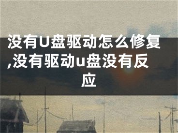 沒(méi)有U盤(pán)驅(qū)動(dòng)怎么修復(fù),沒(méi)有驅(qū)動(dòng)u盤(pán)沒(méi)有反應(yīng)