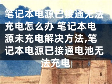 筆記本電源已接通無法充電怎么辦 筆記本電源未充電解決方法,筆記本電源已接通電池?zé)o法充電