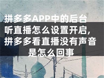 拼多多APP中的后臺聽直播怎么設(shè)置開啟,拼多多看直播沒有聲音是怎么回事