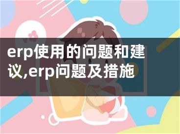 erp使用的問題和建議,erp問題及措施