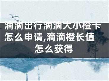 滴滴出行滴滴大小橙卡怎么申請,滴滴橙長值怎么獲得