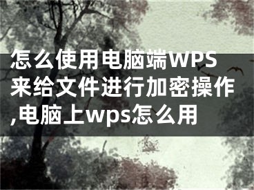 怎么使用電腦端WPS來給文件進(jìn)行加密操作,電腦上wps怎么用