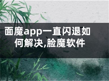 面魔app一直閃退如何解決,臉魔軟件