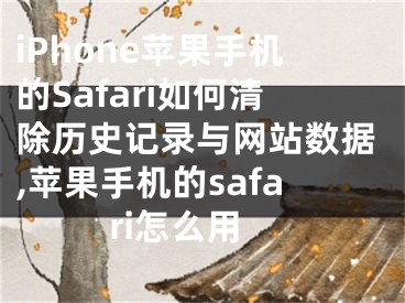 iPhone蘋果手機(jī)的Safari如何清除歷史記錄與網(wǎng)站數(shù)據(jù),蘋果手機(jī)的safari怎么用