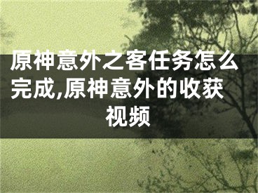 原神意外之客任務(wù)怎么完成,原神意外的收獲視頻