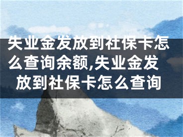 失業(yè)金發(fā)放到社?？ㄔ趺床樵冇囝~,失業(yè)金發(fā)放到社保卡怎么查詢