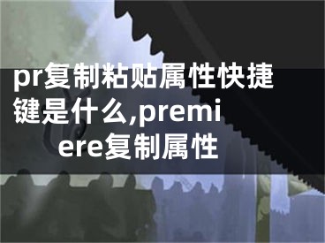 pr復制粘貼屬性快捷鍵是什么,premiere復制屬性