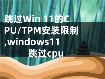 跳過(guò)Win 11的CPU/TPM安裝限制,windows11跳過(guò)cpu