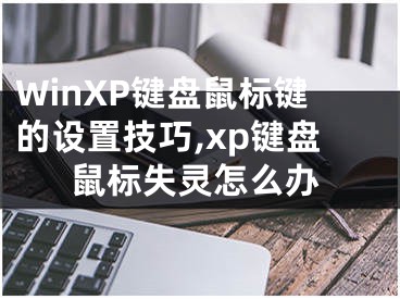 WinXP鍵盤鼠標(biāo)鍵的設(shè)置技巧,xp鍵盤鼠標(biāo)失靈怎么辦