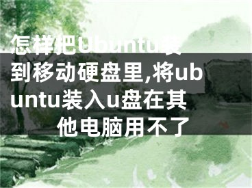 怎樣把Ubuntu裝到移動硬盤里,將ubuntu裝入u盤在其他電腦用不了