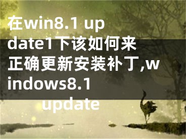 在win8.1 update1下該如何來正確更新安裝補(bǔ)丁,windows8.1 update